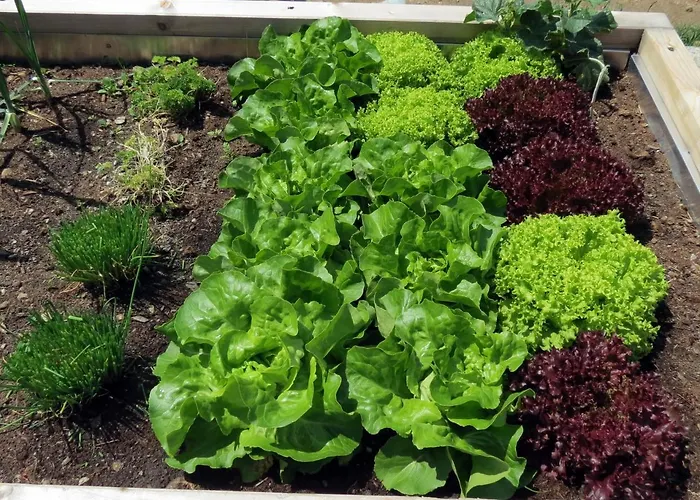 Szálloda Lesacherhof Kals-am Großglockner