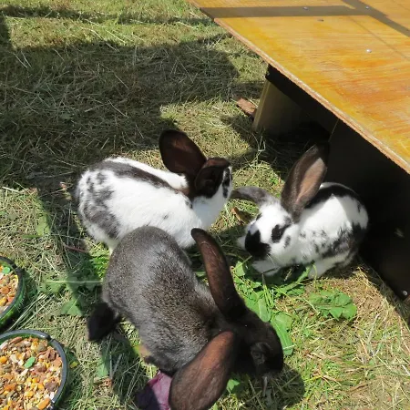 Lesacherhof Hotel Kals-am Großglockner